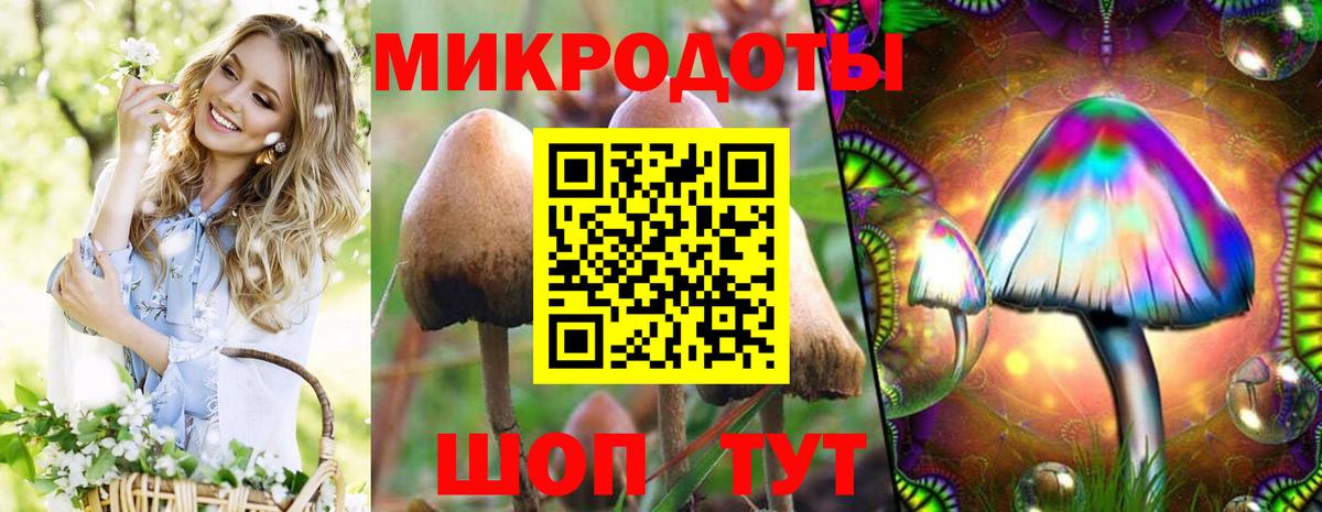Партизанск  Галлюциногенные грибы Cubensis  Вход с VPN 